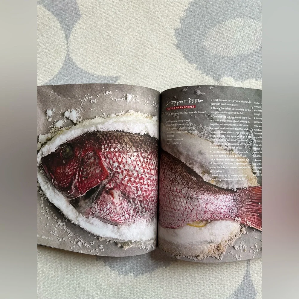 Book Everyday Day Cook by Alton Brown